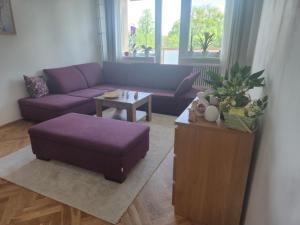 Apartmán Marína v zelenom dvore