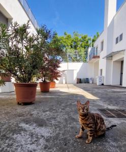 Cozy apartment near Fondazione Prada - free parking