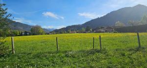 Ferienwohnung Cielo Mountain - Ringberg