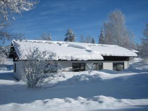 Ferienhaus Wieselweg im Feriendorf Reichenbach 7