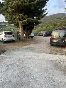 Colline toscane, piscina e relax a Pastina