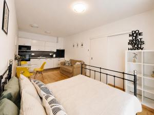 Lovely studio apartment, Free parking 1,55 hight