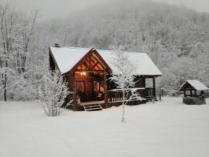 The Little Mountain Cabin