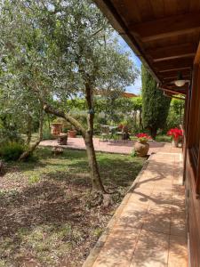 Chalet Mimosa