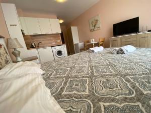 Admiral Plaza Premium Suites