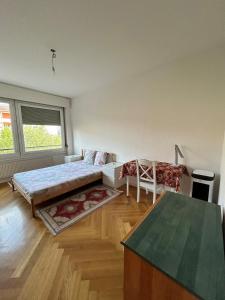 Cozy 1 Bedroom in Central Geneva