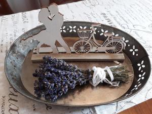 Lavanda