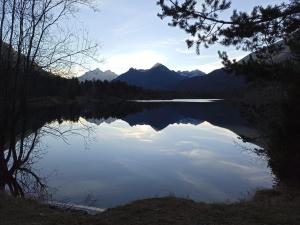 Bergfee Natur Appartements