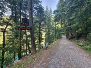 Mid Conifer Cottage Villa