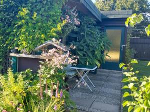 Ferienwohnung Gänseblümchen