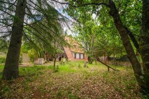 Chalet Etna dreamers