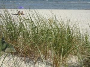Wellenrauschen - strandnah-