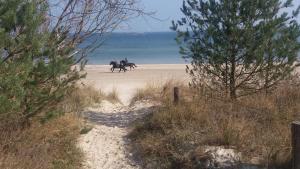 Wellenrauschen - strandnah-