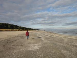Wellenrauschen - strandnah-