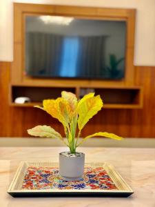 Walisons Homestay , Rose - 2 BHK Ground Floor