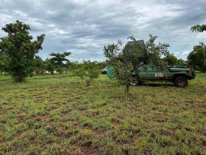The Grassland Campsite