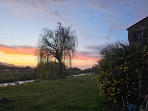 Appartement en rez-de-jardin