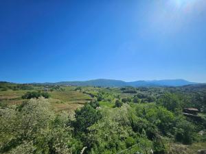 GiardinidiEva B&B