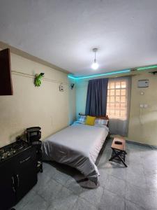 Neon Studio apartment in Juja near Jkuat