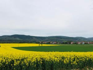 Ferienwohnungen Landliebe "Auszeit mit Wohlgefühl"