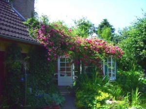 Ferienwohnung Diena - Unterkunft mit toller Ausstattung und zwei Terrassen