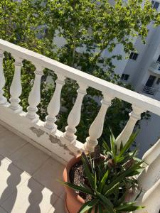 Casa Agelatou, 2 bedroom apartment