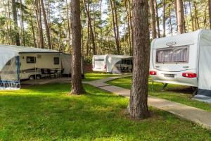 Urlaub im Wohnwagen mitten im Wald