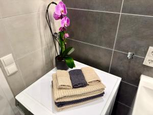 Koblenz City Studio I Nahe Hbf & Zentrum Ferienwohnung
