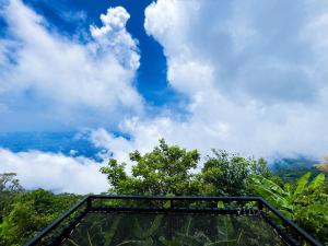 The Forest View ภูทับเบิก