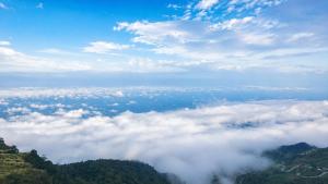 The Forest View ภูทับเบิก