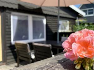 Ferienhaus Muckelbude