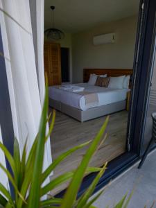 Ansira Fethiye