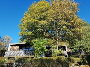 Berg-Bungalows Leinleitertal