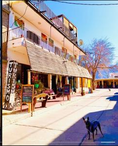 Cafayate Backpackers