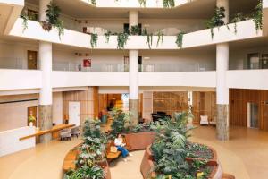 Falésia Hotel - Adults Only