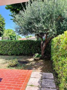 Tra la luna e il mare - giardino con bbq-parcheggio privato-riviera del Conero