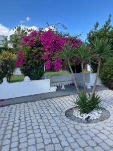 Beau Rez de Jardin