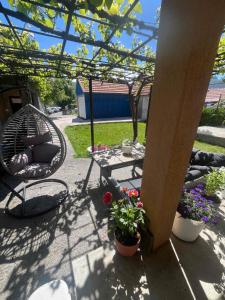 Djurovi Family Garden