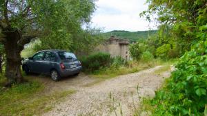 Holiday Flat for Nature Lovers img17