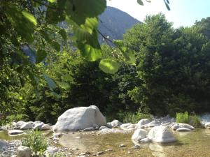 Holiday Flat for Nature Lovers img24