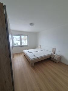 Janez house