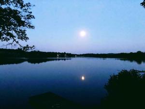 Lakefront Glamping Cottage- Fishing-Swimming-Boating