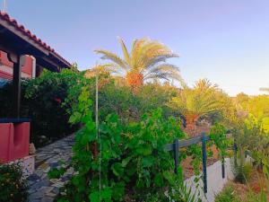 katerinas house