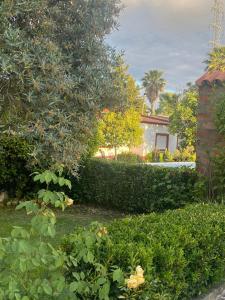 Casa do Jardim