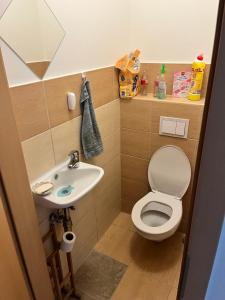 large mehmet apartment