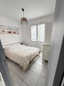 Maison 1 chambre