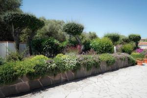 Casa Annina img23