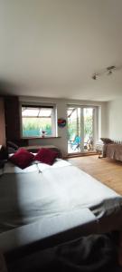 ViLLA IVET