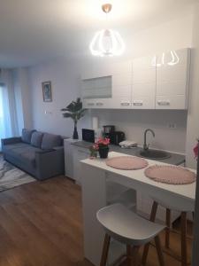 Apartament Camelia