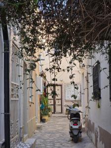 Dar Julia Typical Arabesque House